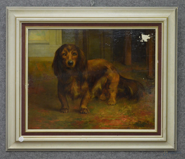 Cane, olio su tavola 39x49 cm, entro cornice firmato e datato.