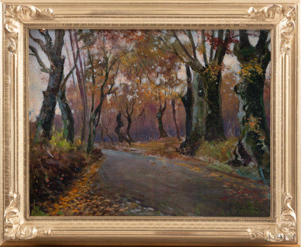 Bosco con viale, XX secolo, olio su cartone, cm 36x47, firmato in basso a destra, entro cornice