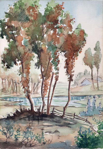 Paesaggio lacustre con alberi in primo piano, 1950, acquarello su cartoncino, cm 50x35, firmato e datato, firma indecifrabile
