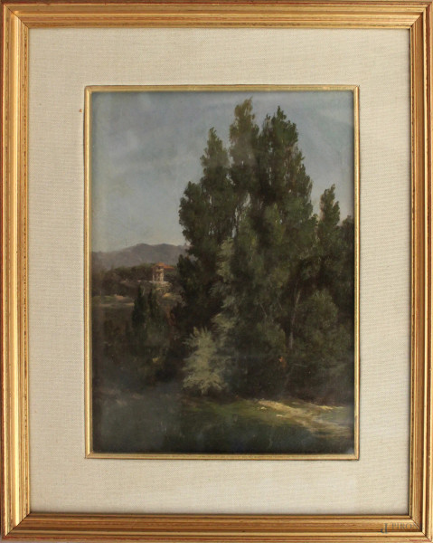 Paesaggio boschivo, olio su tela, cm 32 x 24, entro cornice.