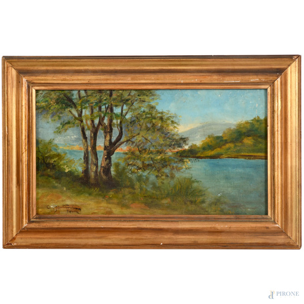 Paesaggio fluviale, olio su tela applicata su cartone, cm 19x35, firmato in basso a sinistra, entro cornice, (piccole cadute di colore)