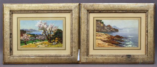Coppia di stampe colorate raffiguranti paesaggi, cm 9,5x13,5, entro cornici.