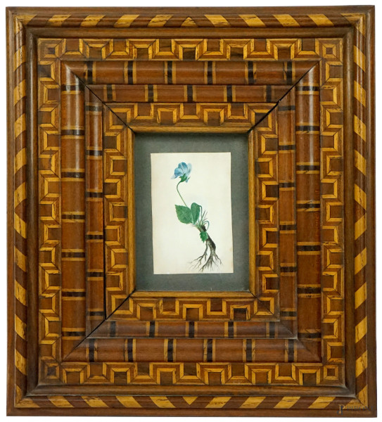 Cornice in legno intarsiato in varie essenze, XX secolo, fascia esterna decorata a nastro, fasce interne con decori a motivi geometrici, XX secolo, cm 32,5x29