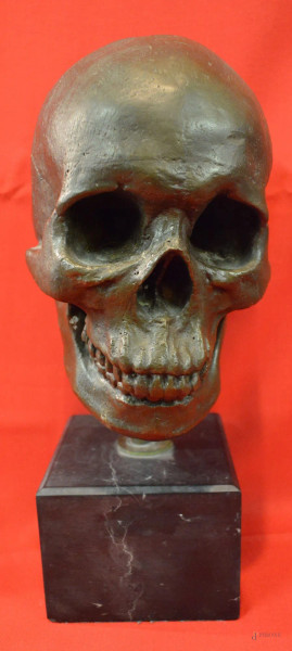 Teschio, scultura in bronzo, base in marmo h cm 35.