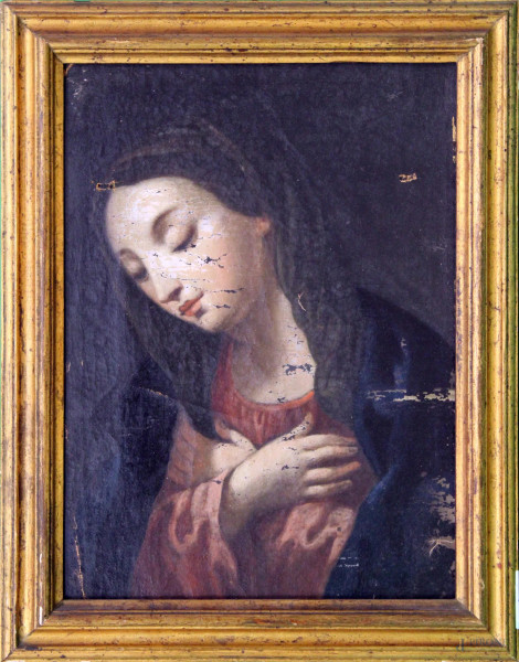 Madonna, olio su tela, Scuola Italiana, XVIII sec., cm 35 x 26.
