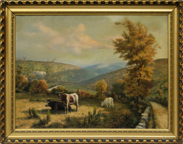 Paesaggio con armenti, dipinto ad olio su tela primi 900, cm 80 x 60, entro cornice.