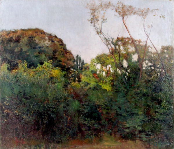 Paesaggio con alberi, olio su tela, cm 56x65, firmato F. Gioli