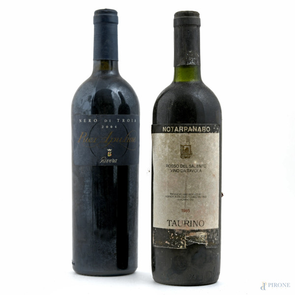 Lotto di due vini pugliesi