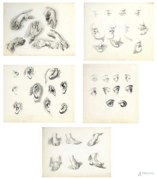 Maestro del Novecento, lotto composto da cinque raffinati studi di anatomia, grafite su carta, ciascuno circa cm 37x30