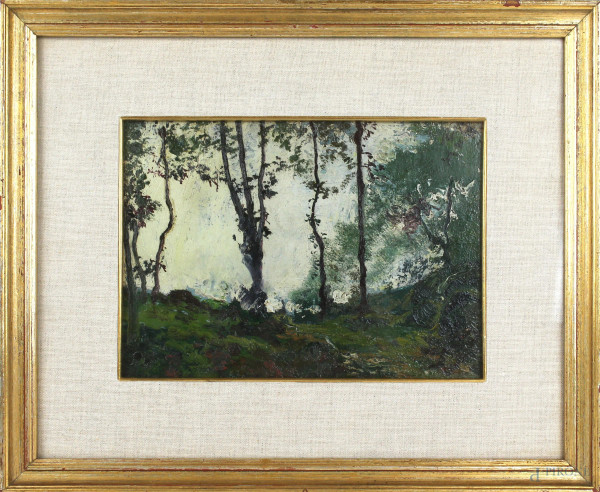 Paesaggio Boschivo, olio su tavola, cm 18x24,5, XX secolo, entro cornice