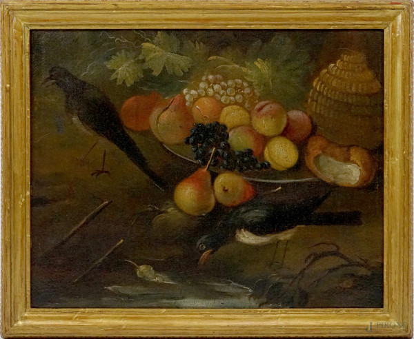 Maestro di ambito lombardo del XVIII secolo, Natura morta con frutta e volatili, olio su tela, cm 57,5x72, entro cornice, (cadute di colore sparse).