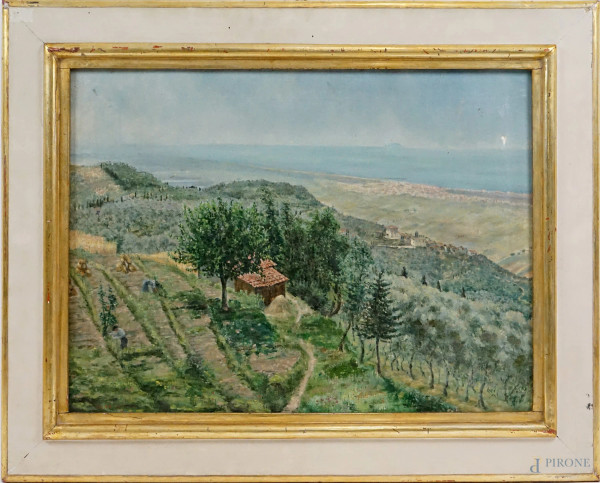 Mattino sui colli, olio su tela, cm 54,5x75, firmato Gilda Bellotti, entro cornice, (difetti)