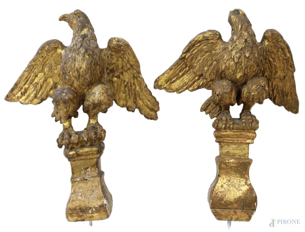 Coppia di aquile in legno scolpito e dorato, XVIII secolo, cm h 27, (difetti e restauri)