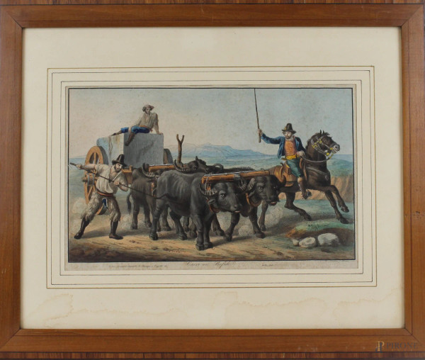 Carro con bufale, stampa acquerellata, cm 34x43, incisore Lindau D., XIX secolo,  entro cornice, (macchie sulla carta).