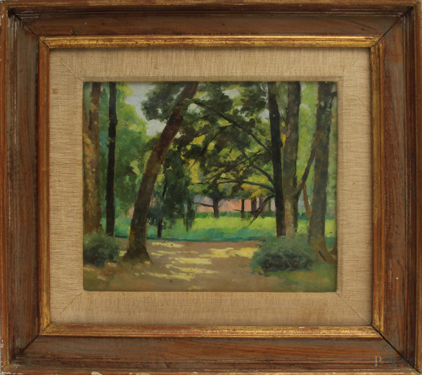 Paesaggio boschivo, olio su cartone,cm. 28x23, recante firma sul retro, entro cornice.