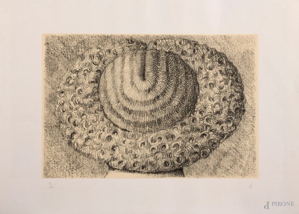 Domenico Gnoli (1933 – 1970), Indefriesable, 1963, litografia a un colore es. 75/80 cm 50x70, firmato in basso
