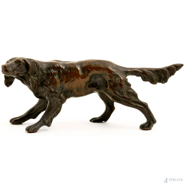 Scultura di setter inglese in bronzo, cm 11,5x29x7,5, XX secolo, (difetti)