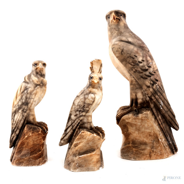 Lotto di tre sculture in alabastro raffiguranti rapaci, XX secolo, altezza massima cm 35, (scalfiture, graffi, rotture, mancanze, difetti)