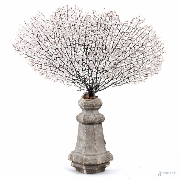 Gorgonia con inserti decorativi su base in legno argentato, XX secolo, altezza cm 43, (segni di usura, difetti)