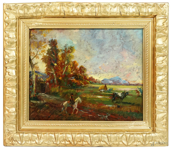 Paesaggio con butteri, olio su compensato, firmato, cm 24,5x30, entro cornice