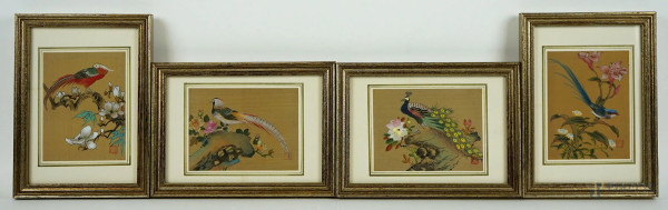 Quattro miniature raffiguranti volatili, olio su tela, cm 12x9,5, entro cornici