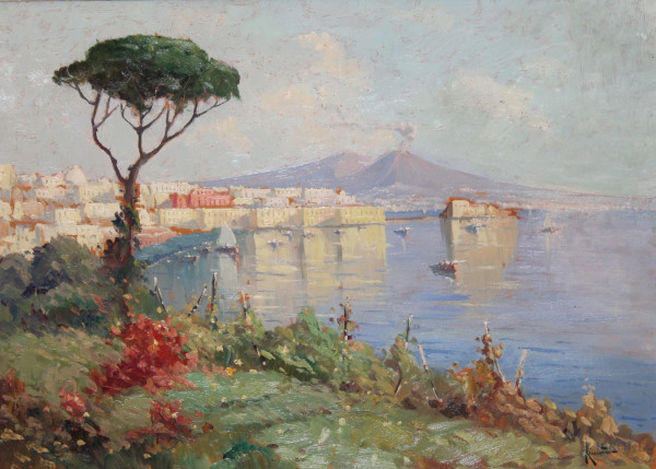Scorcio di Napoli su sfondo Vesuvio