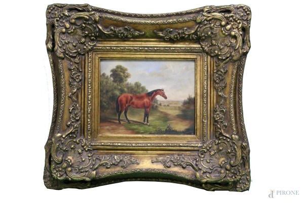 Cavallo, olio su tavola, 25x35 cm, entro cornice.