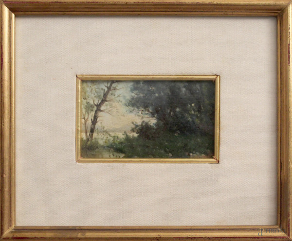 Paesaggio lacustre, olio su cartone, cm 7,5 x 13, entro cornice.
