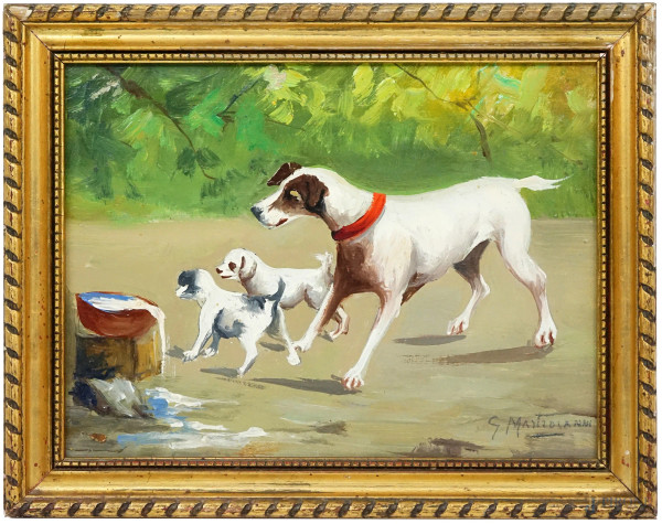Cani, olio su tavola, cm 18x24, firmato Mastroianni, entro cornice