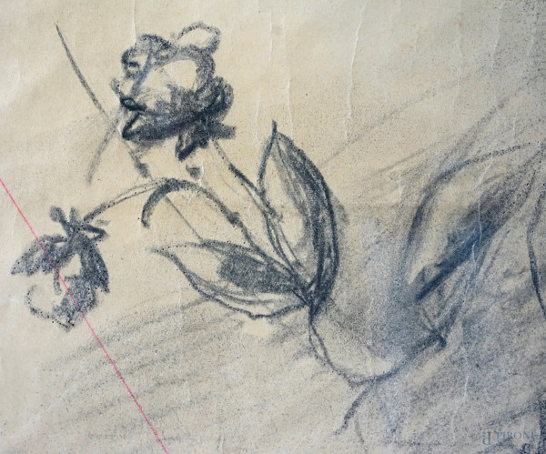 Coppia di nature morte, disegni a carboncino su carta, cm 111,5x73,5, XX secolo, entro cornici, (...
