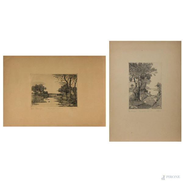 Lotto di due incisioni con vedute di paesaggio, XX secolo, firmate in basso a destra a grafite, cm 35x50, (segni di usura, tracce di umidità, gore, foxing, lacerazioni della carta, tracce di piegatura)