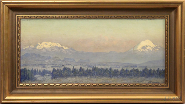 Paesaggio messicano, olio su cartone, firmato G.G.Mayorga, cm 26 x 55.