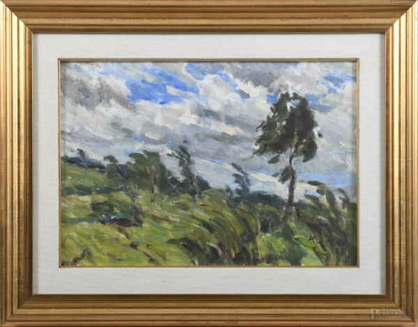 Paesaggio, XX secolo, olio su cartone, cm 36x50, firmato in basso a destra, entro cornice
