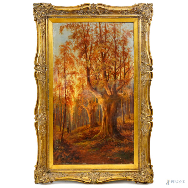 Bosco in autunno, olio su tela, firmato in basso a destra, cm 107x61, entro cornice, (difetti)