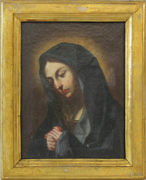 Pittore del XVIII secolo, Madonna in preghiera, olio su tela, cm. 23x18, entro cornice, (restauri).