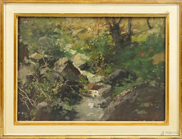 Bosco con ruscello, olio su cartone, firmato in basso a destra, cm 49x70, entro cornice