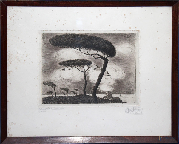 Il gargano, Gli alberi gobbi, p.d.a di Alfred Petrucci, 18x24 cm, entro cornice.