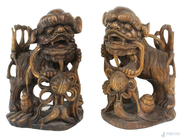 Cani di Pho, coppia di sculture in legno intagliato,  cm h 30x17x13, arte orientale, XX secolo, (segni del tempo).