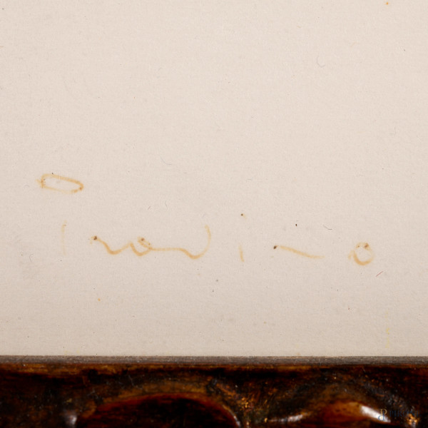 Volto virile, inchiostro su carta, firmato in basso a destra "Provino", cm 34x49,5