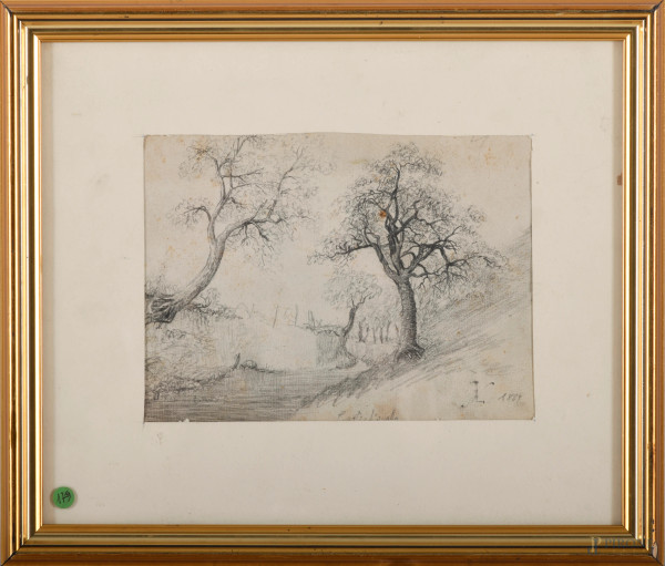 Alberi, 1889, grafite su carta, cm 13x18 entro cornice, (difetti)