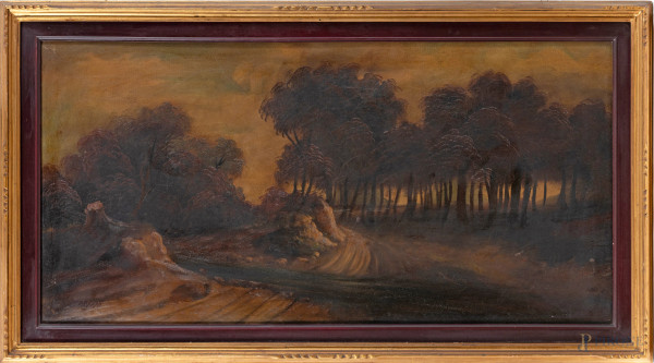 Paesaggio, XX secolo, olio su tela, cm 60x120, entro cornice, (segni di usura, craquelure, abrasioni)