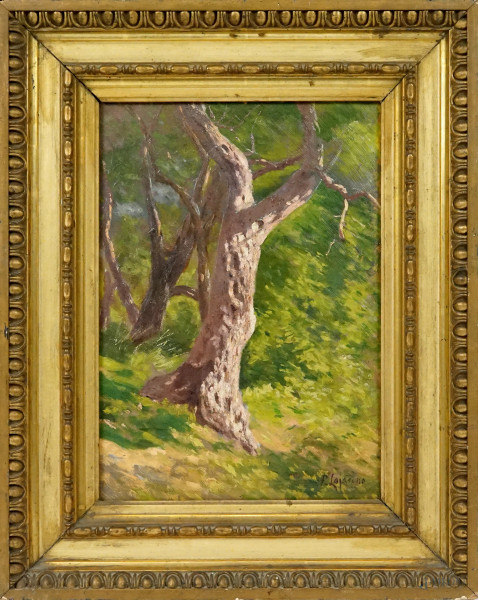 Albero, olio su cartone, cm 32x22, firmato, entro cornice