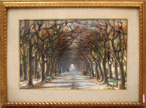 Edgardo Rossaro - Viale alberato, olio su tela, cm 34x52, firmato, entro cornice.