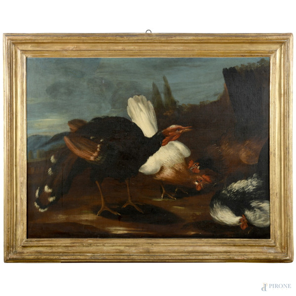 Tacchino con polli, XVII-XVIII secolo, olio su tela, cm 73x100, entro cornice coeva