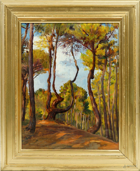 Scorcio di bosco, olio su compensato, firmato, cm 52x40, entro cornice