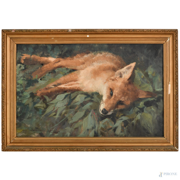 Marino Lenci, (Napoli, 1874 - Napoli, 1939), Volpe, olio su tela, cm 28x44, firmato in basso a sinistra, entro cornice, (ondulazioni della tela)