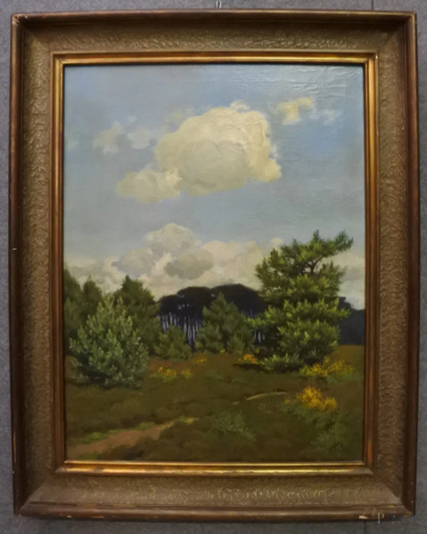 Paesaggio campestre, dipinto dll'800 ad olio su tela 63,5x83,5 cm, entro cornice.