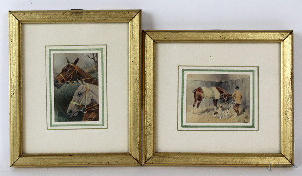 Coppia di acquarelli su carta raffiguranti cavalli, cavalerizzo e cani, cm 7x4,5, firmati, entro cornici