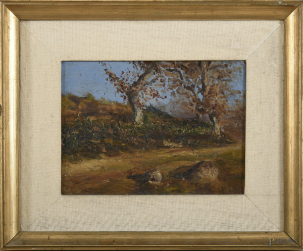 Paesaggio con alberi, XX secolo, olio su cartone, cm 19x24, entro cornice (segni di usura, suoorto lievemente imbarcato)
