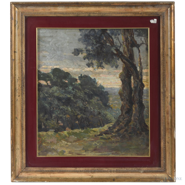 Paesaggio con albero, XX secolo, olio su tela, cm 43,5x38,5, entro cornice